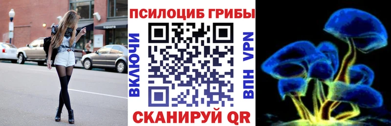 купить  цена  Волгодонск  Псилоцибиновые грибы ЛСД 